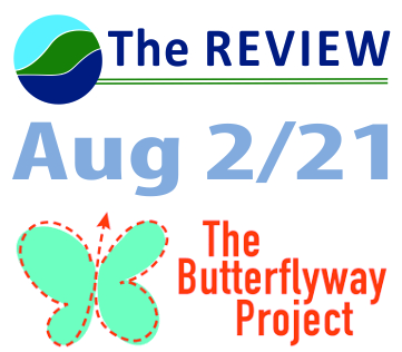 Blue Mountains Review - August 2nd Edition